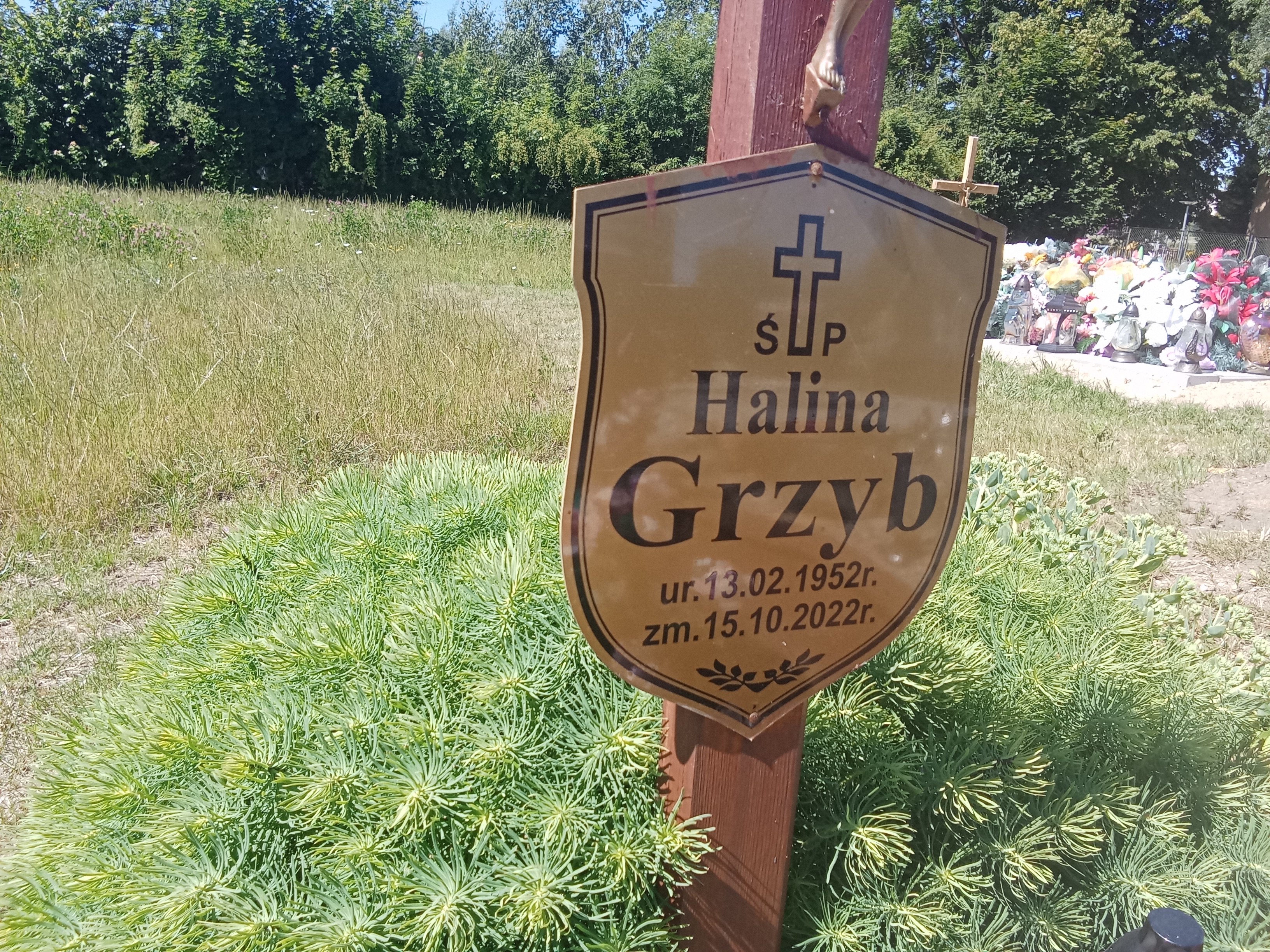 Zdjęcie grobu