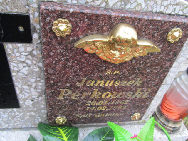 Janusz Perkowski 1962 Blanki i Żegoty - Grobonet - Wyszukiwarka osób pochowanych